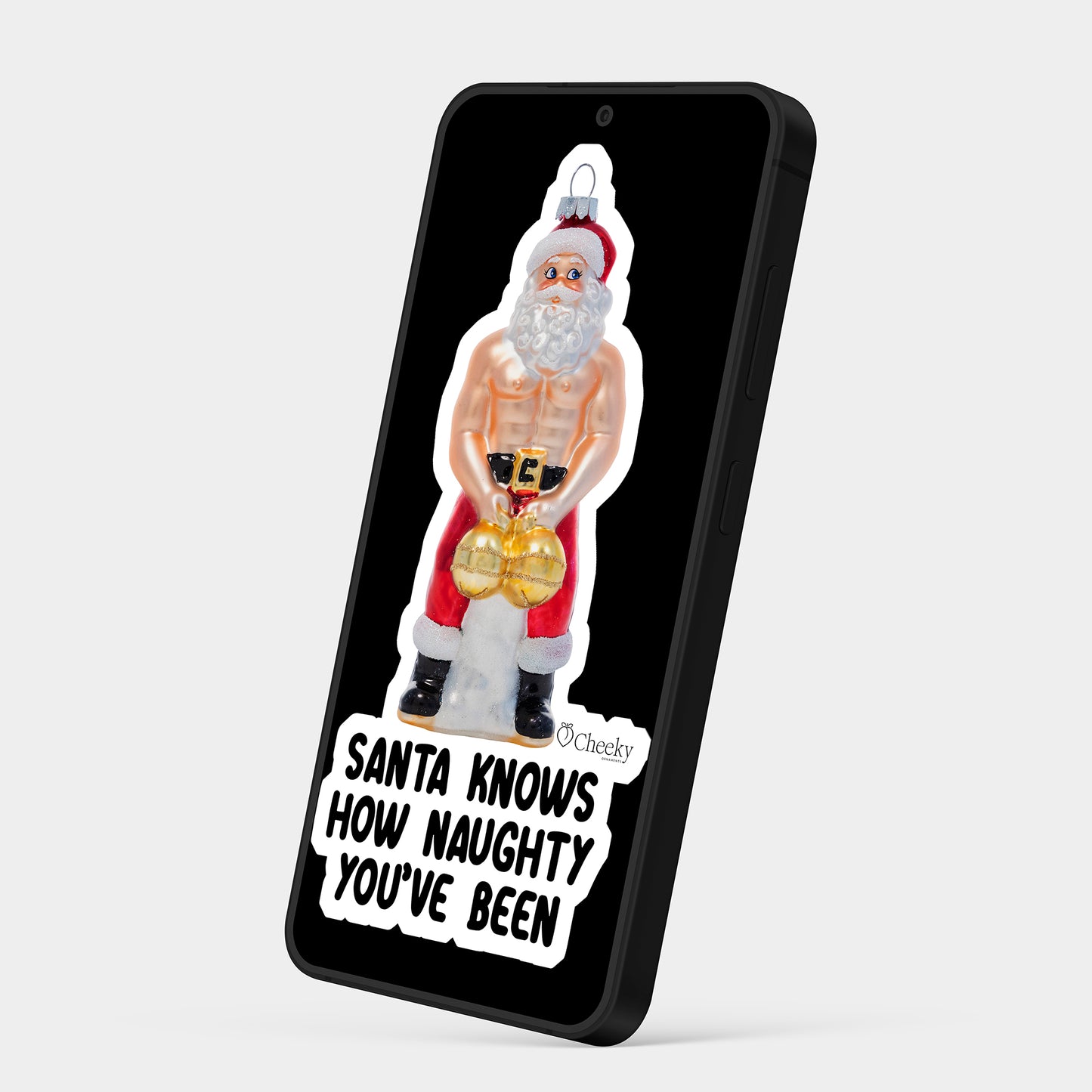 Santa Knows How Naughty You've Been